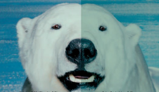 欧博ABG(中国)有限公司官网