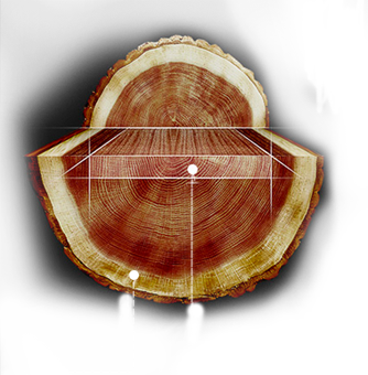 ŷABG(й)޹˾